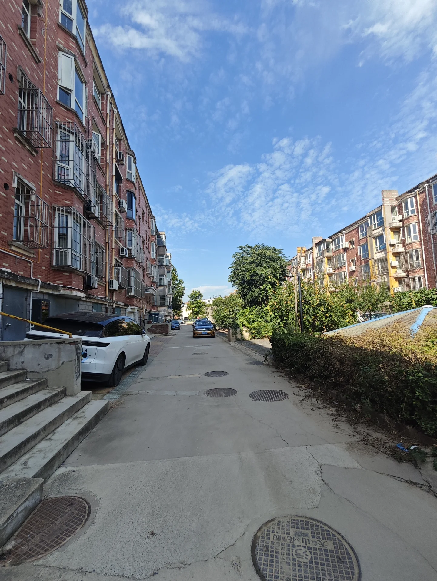 街道场景，两侧是多层砖红色住宅楼，道路中央有车辆停放，天空晴朗，整体呈现典型的城市居住环境。