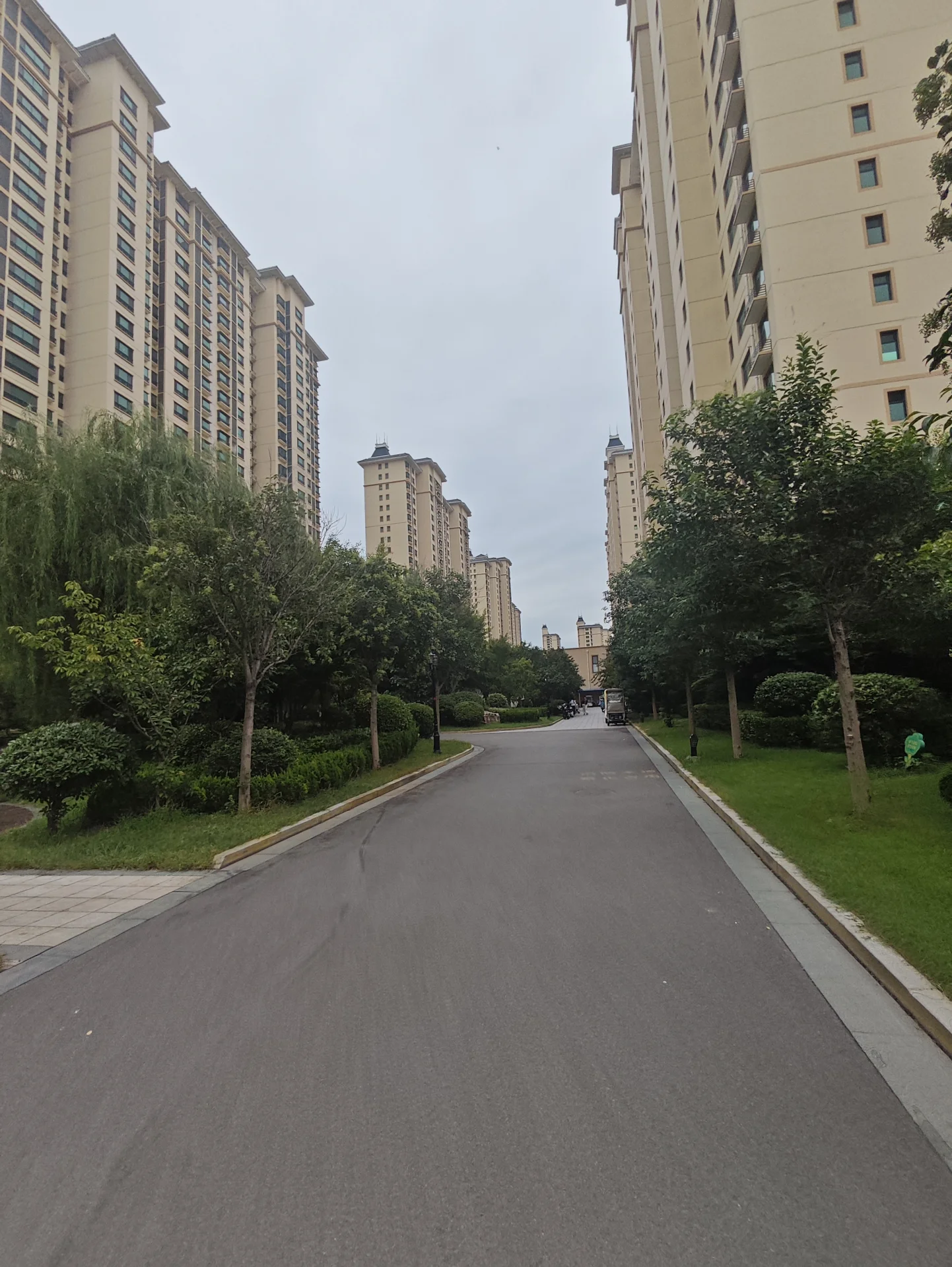 一条笔直的柏油道路贯穿画面，两侧是高层住宅建筑和茂密的树木绿化带。天空呈阴沉的灰色，整体环境宁静，展现出成熟社区的居住氛围。