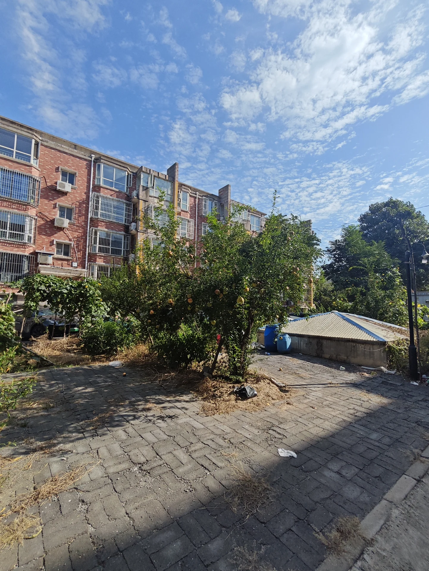 一栋多层砖红色住宅建筑占据画面主体，周围有树木和空旷的铺装地面。建筑风格偏向实用型，整体环境较为朴素，天空晴朗。