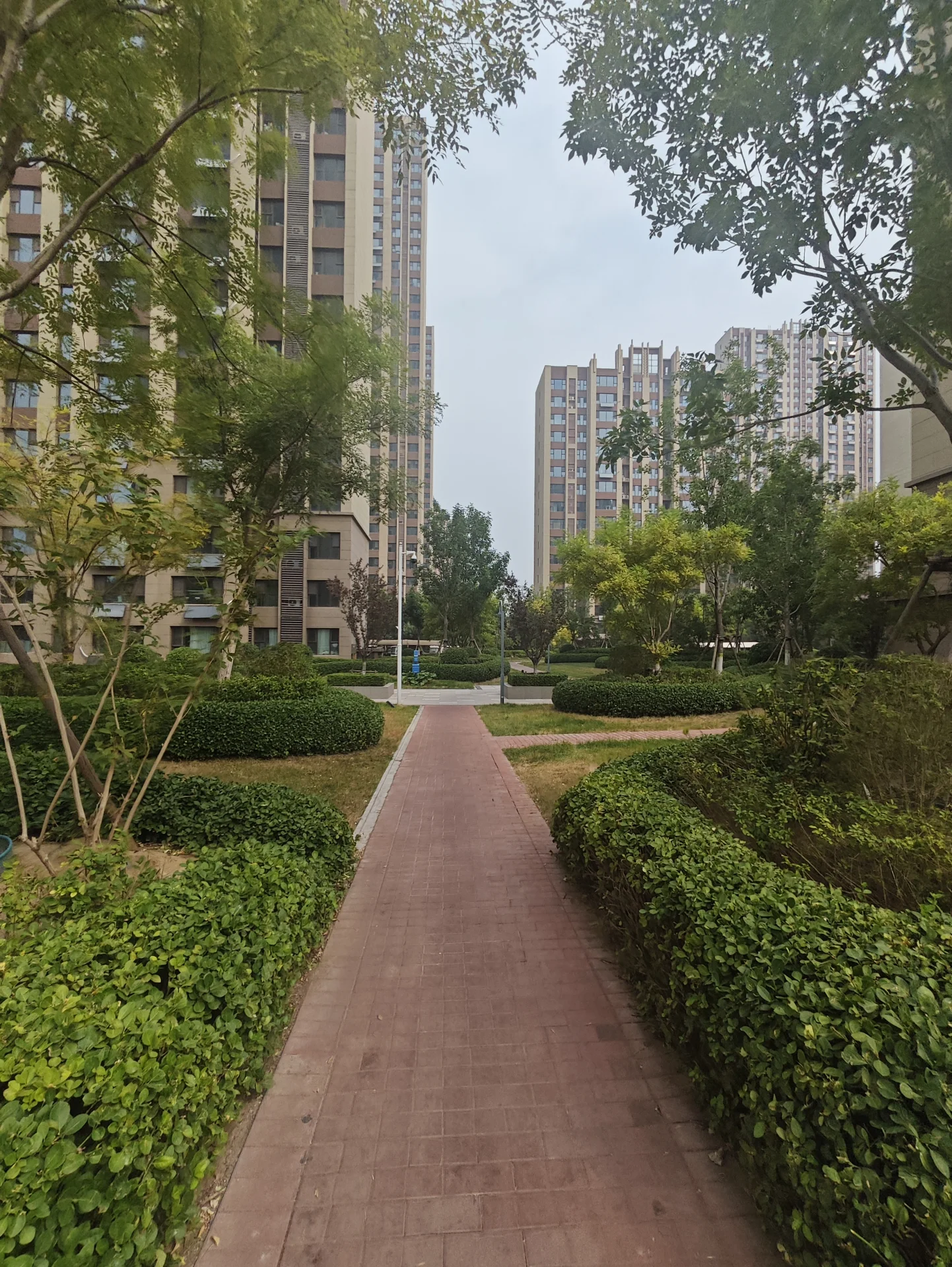 一条笔直的步道贯穿画面，两侧是修剪整齐的绿篱和树木，背景是多栋现代风格的高层住宅楼。整体环境绿化良好，呈现出宁静和谐的居住氛围。